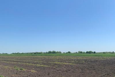 Afumati Teren Extravilan  9,4 Ha(3eur/mp) - 1