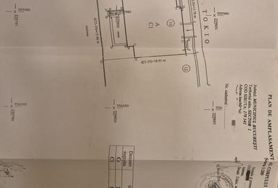 De inchiriat -  Vila interbelica 330mp utili + Garaj - Tokio - Capitale - 26