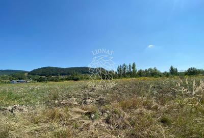 Teren 4100 mp - oportunitate investitie - Bistrita Zona Ranahum - 4