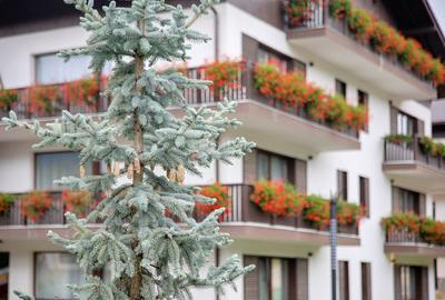 APARTAMENT DE VACANTA  - POIANA BRASOV - 29