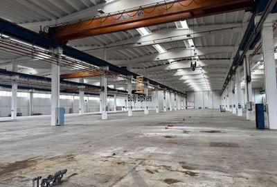 Spatiu Industrial - 5000 mp - Productie - Depozitare - Distributie - 4