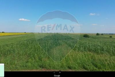 Teren 11906 mp extravilan, rezidential, industrial - in Berceni - 4
