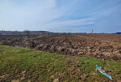 Teren de Vanzare Industrial Caciulati A3 - 8