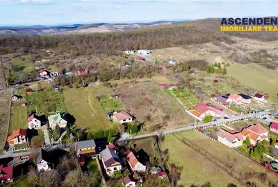 FILM!2.580mp, intravilan,construibil, sursa proprie apa, Valea Iubirii,Corunca, - 1