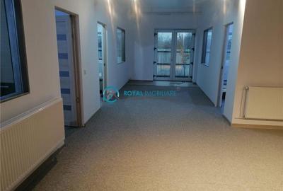 Royal Imobiliare - Vanzare Spatiu de productie Albesti Paleologu - 8