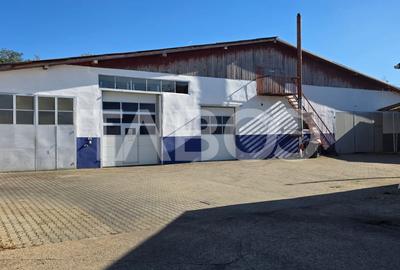 Spatiu industrial de 300 mp de inchiriat in Sebes Alba - 2