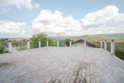 Complex cu Piscină/Cazare de Vânzare, 10.777mp Teren - DN24, Vaslui - 16