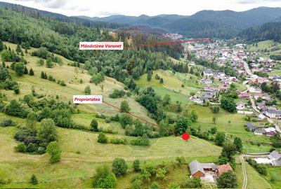 Teren 6,865mp Voroneț / Gura Humorului / Bucovina - 2
