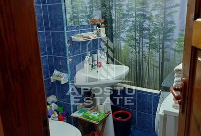 Apartament decomandat cu 2 camere mobilat si utilat,Calea Lipovei - 13