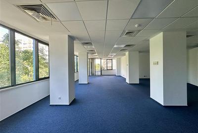 Spatii birouri de inchiriat ultracentral Bucuresti - de la 87 mp - 11