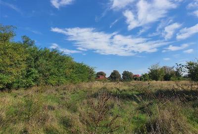 Teren de vanzare in Hemeius Margineni, județul Bacau - 4