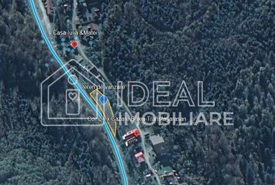 Teren intravilan 1.113 mp – deschidere la DN7C și Râul Bâlea – Cârțișoara - 3