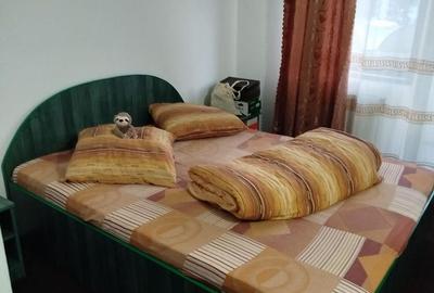 Pensiune + fermă piscicolă (sturion/caviar) | Saru Dornei/Sarisor - 20