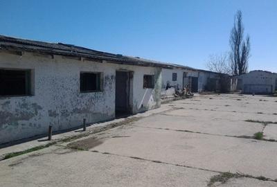 Teren intravilan Mogosesti | Giurgiu | 370.000mp | Adunatii Copaceni - 14