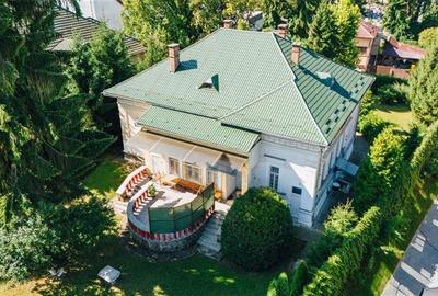 Vila in stil Art Nouveau (Targu Mures, str. Alexandru Papiu Ilarian) - 3