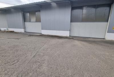 Hala de inchiriat  500MP - 1