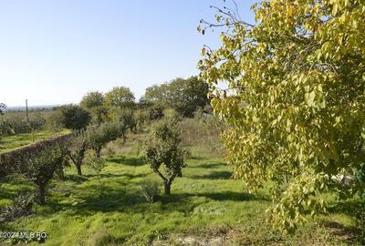Calinesti - Gorganu, casa cu 2 intrari, teren 2496 mp! - 19