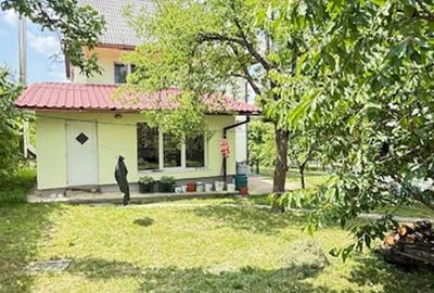 BAIA SPRIE - spre Cavnic Vila D+P+E 168mp + anexa cu teren 1526mp! - 6