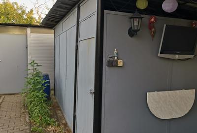 Casa de vanzare Comuna Viisoara-Judetul Teleorman - 13