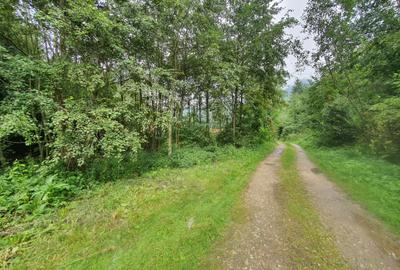 Teren Construcții extravilan de 9100 mp, în Glăjărie