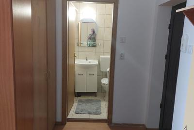 Apartament 1 camera Calea Turzii, langa Sigma si Universitatea Tehnica - 6