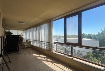 Floreasca 4 cam lux vedere lac - 6