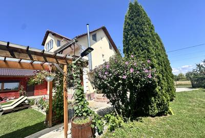 CASA VACANTA-zona pitoreasca minunata - 2