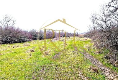 Teren agricol extravilan de 25000 mp, în Secaș