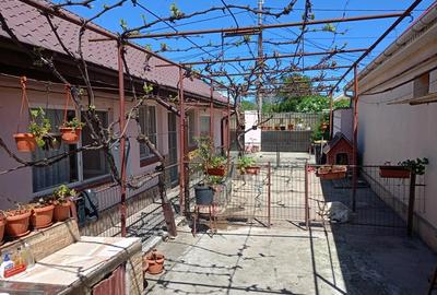 Casa plus teren zona viile noi - 4