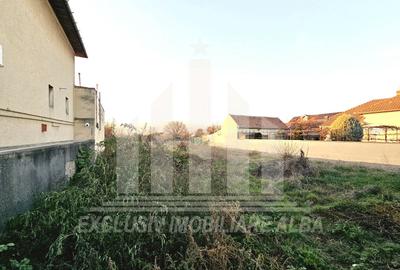 Teren intravilan | De vanzare | 2950 mp | 22 ml deschidere | Partos - 4