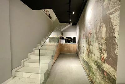 Duplex 3 camere//Birou*Cabinet**Showroom//DOMENII//PARTER+ Demisol - 12