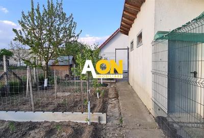 Casa pentru 2 familii, 7 Camere, 2 Garaje, 1500MP Teren - 30