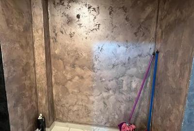 Garsoniera 31 mp, etaj intermediar, Podul Ros - Podul de Piatră - 7