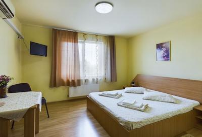 Pensiune in Arad (Vladimirescu) pe DN7 - 12