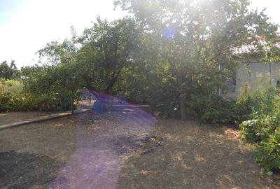 Calugareni-Branistari- casa 4 camere, teren 1965 mp, curent, put, libera,69900 € - 33