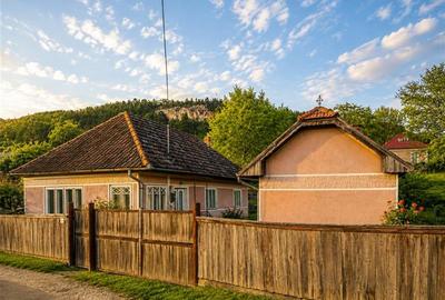FILM! Gospodarie cu atmosfera traditionala,1.032 mp de verde si gradinarit, Sanz - 13