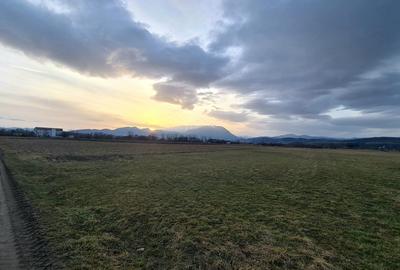 TEREN 5000  mp EXTRAVILAN LANGA SENS GIRATORIU RASNOV - PANICEL - 4