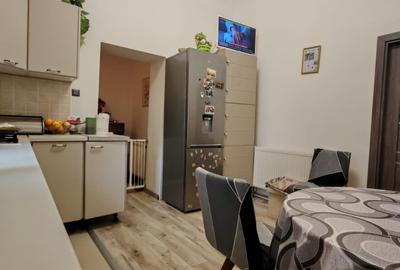 Casa cu 2 camere, 43 mp plus 480 mp teren, Zona strazii Horea - 9
