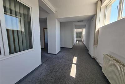 Spatii pentru birouri in Sema Parc - 10