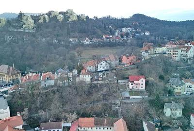 Teren intravilan, ultracentral. - 36