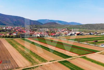 Oportunitate investiție – 6 parcele cu PUZ aprobat și autorizație - Orlat - 2