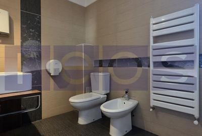 VANZARE PENTHOUSE | 6 CAMERE | 233MP | ZONA DOROBANTI - 17