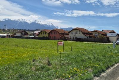 Teren intrare Bran, aproape de Penny, la Drumul European - 3