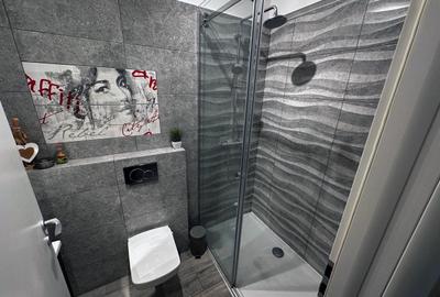 Apartament 2 camere Unirii - 10