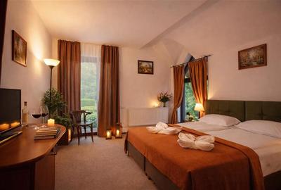 Pensiune Poiana Brasov, Central, oportunitate investitie/ dezvoltare afacere - 1