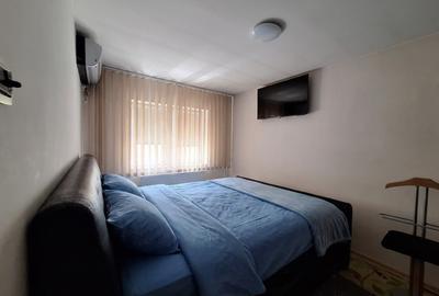 Apartament spatios cu 2 dormitoare, renovat si mobilat-Aradului - 10
