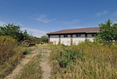 Domnesti - Ciutaci, vanzare 4 loturi de teren intravilan - 16