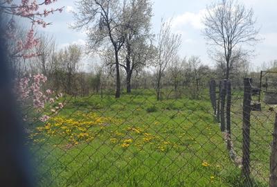 OPORTUNITATE UNICĂ ÎN TOMȘANI (LÂNGĂ HOREZU) – ANSAMBLU TERENURI 9.364 MP - 2