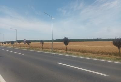 Teren Vanzare Intravilan Branesti - Investitie Zona Industriala Vis a Vis Makita - 19