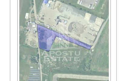 Teren intravilan 7919 mp Vladimirescu - 1